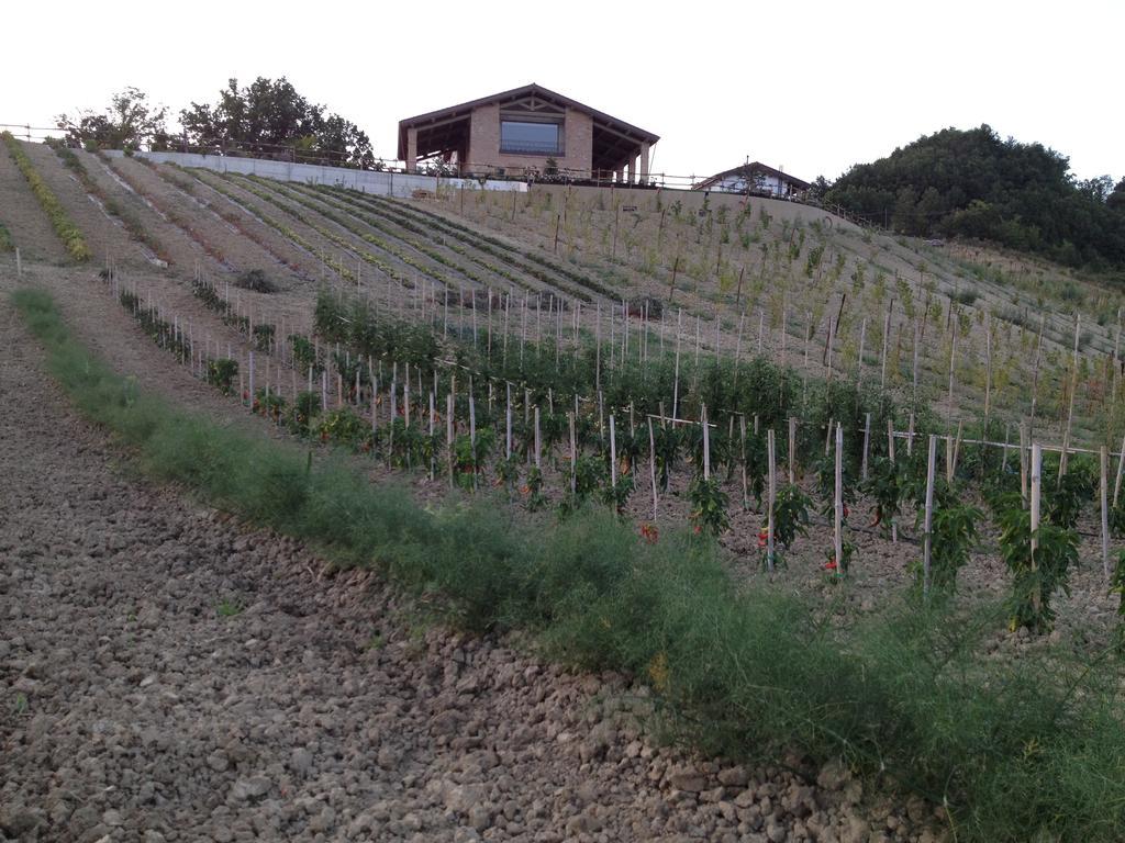 Agriturismo Alba Del Borgo Fidenza Zewnętrze zdjęcie